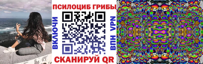 где найти наркотики  Ртищево  Галлюциногенные грибы Psilocybine cubensis 