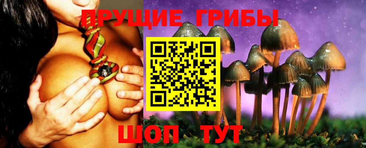 Псилоцибиновые грибы MAGIC MUSHROOMS Ртищево