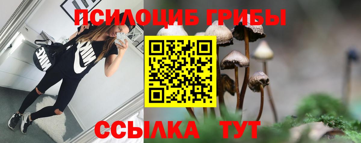 Ртищево  Псилоцибиновые грибы ЛСД  продажа наркотиков  Вход с VPN  Галлюциногенные грибы Psilocybine cubensis 